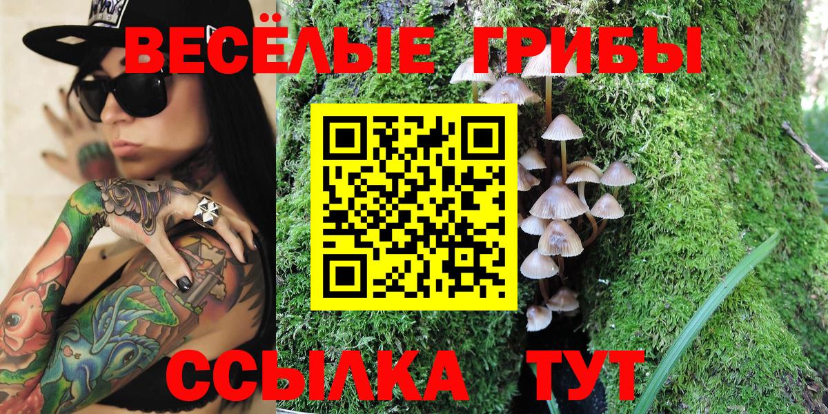 Псилоцибиновые грибы прущие грибы  Галлюциногенные грибы ЛСД  Верхняя Пышма  Вход с VPN 